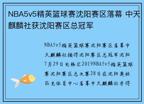 NBA5v5精英篮球赛沈阳赛区落幕 中天麒麟社获沈阳赛区总冠军