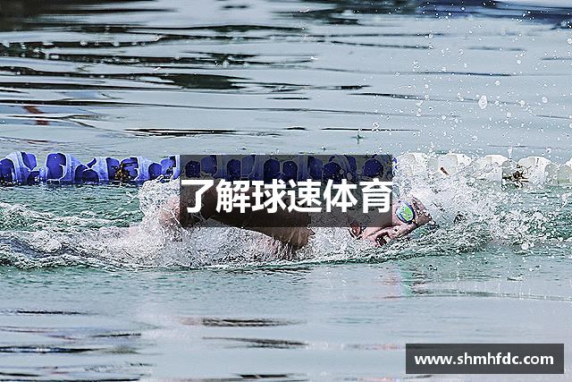 了解球速体育